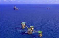 Vietsovpetro recibe primer flujo de petróleo de plataforma de Ca Tam 2