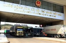 Destacan desarrollo positivo y saludable de nexos Vietnam-China