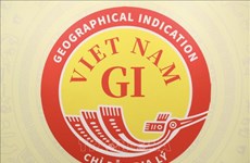 Anuncian logotipo de indicación geográfica nacional de Vietnam