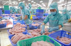  China aumenta importación de productos acuáticos de Vietnam