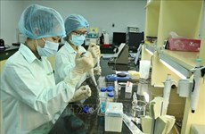 Agilizan lazos entre institutos y empresas para progreso de ciencia en Vietnam
