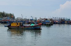 Vietnam refuerza control de barcos para prevenir la pesca ilegal