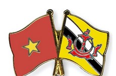  Jefe de Estado Mayor general del Ejército Popular de Vietnam visita Brunéi