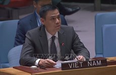 Vietnam dispuesto a cooperar con otros países en mantenimiento de paz de ONU