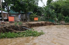 Ciudad Ho Chi Minh identifica 32 sitios vulnerables a deslizamientos de tierra