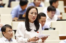 Parlamento vietnamita interpela asuntos de inspección