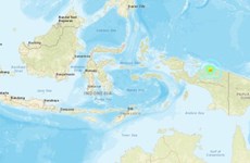 Terremoto de magnitud 6,1 sacude centro de Indonesia