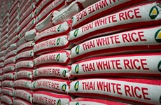Exportación de arroz tailandés aumenta de enero a septiembre 