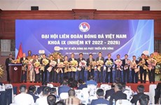 Trabajan juntos por desarrollo sostenible de fútbol de Vietnam