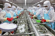 Exportaciones acuáticas vietnamitas superarán los 10 mil millones de dólares en 2022
