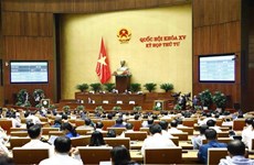 Aprueban Ley de Implementación de la Democracia a nivel de base en Vietnam