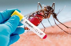 Laos refuerza medidas contra dengue 
