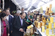 Resaltan potencial de Vietnam de desarrollar industria multimillonaria de ginseng
