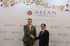 Vietnam felicita a Ucrania por unirse al Tratado de Amistad y Cooperación en el Sudeste Asiático