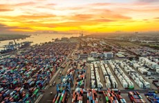 Tres puertos de Vietnam en el top 50 del mundo de Lloyd's List