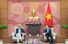 Vietnam aprecia relaciones con Bélgica, afirma vicepresidente de Asamblea Nacional