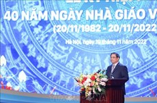 Aseguran importancia y contribuciones de maestros vietnamitas