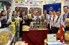 Provincia altiplánica de Vietnam participa en Feria Comercial Internacional de la India  