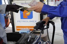 Precio de petróleo en Vietnam disminuye después de aumentos consecutivos
