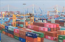 Crece valor de exportaciones de Vietnam a Alemania en primeros 10 meses de 2022