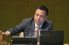 Asamblea General de la ONU aprueba Resolución sobre la cooperación con ASEAN