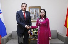 Vicepresidenta de Vietnam sostiene encuentros con líderes mundiales 