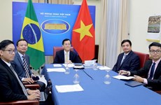 Cancillerías de Vietnam y Brasil promueven cooperación multifacética 