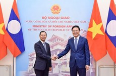 Efectúan séptima consulta política Vietnam-Laos