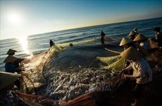 Oportunidades de integrarse al mundo para industria pesquera de Vietnam