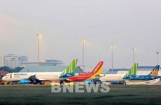 Encabeza Bamboo Airways índice de puntualidad en vuelos en noviembre