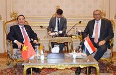 Vicepresidente parlamentario vietnamita realiza visita a Egipto