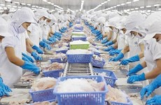 Vietnam entre mayores proveedores de productos acuáticos de Estados Unidos