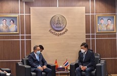 Buscan fortalecer cooperación entre localidades de Vietnam y Tailandia