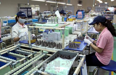 Vietnam atrae más de 25 mil millones de dólares de IED en 11 meses