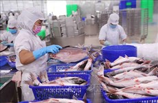Pescado Tra, rubro de exportación con mayor crecimiento