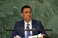 Vietnam propone a ASEAN fomentar coordinación de posiciones conjuntas en ONU