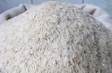Indonesia importará 500 mil toneladas de arroz para mejorar reservas