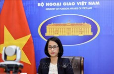 Vietnam exhorta al mantenimiento de paz y estabilidad en el mar