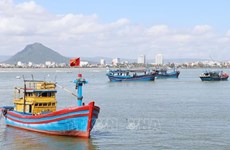 Provincia de Khanh Hoa avanza en la lucha contra pesca ilegal