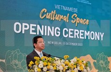 Foro promueve el turismo de Vietnam en la India