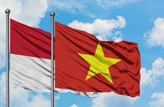 Indonesia y Vietnam disponen de grandes potencialidades de cooperación