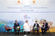 Vietnam y países árabes del Golfo promueven cooperación en turismo