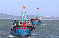 Provincia vietnamita de Phu Yen se esfuerza por prevenir pesca ilegal