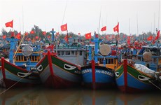 Provincia vietnamita promueve cambio en conciencia para luchar contra la pesca ilegal