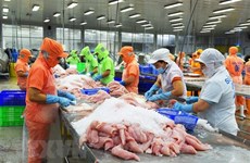 En alza exportaciones vietnamitas de pescado Tra a Estados Unidos