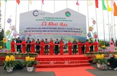 Inauguran en ciudad vietnamita feria internacional de las flores 2022