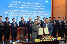 Grupo taiwanés destina inversión millonaria en provincia vietnamita  