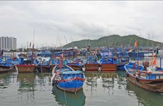 Guardacostas de Vietnam detectan y sancionan acciones ilegales 
