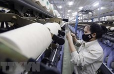 Economía vietnamita mantiene estable este año, califica experto ruso
