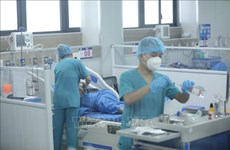 Vietnam registra 213 nuevos casos de COVID-19